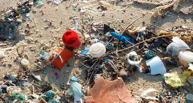 Plásticos, la gran amenaza para los mares: especialista