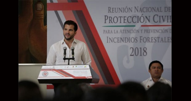 Deforestación en México disminuye 43% en 5 años: Semarnat