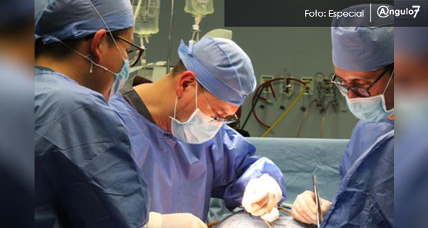 IMSS realiza 40% de los trasplantes de donador vivo en el país