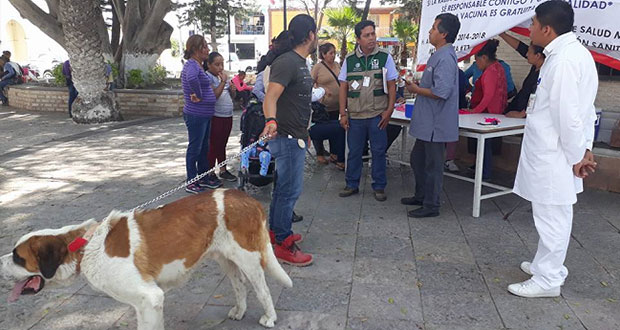 Vacunan y esterilizan mascotas en barrios de Tepexi de Rodríguez