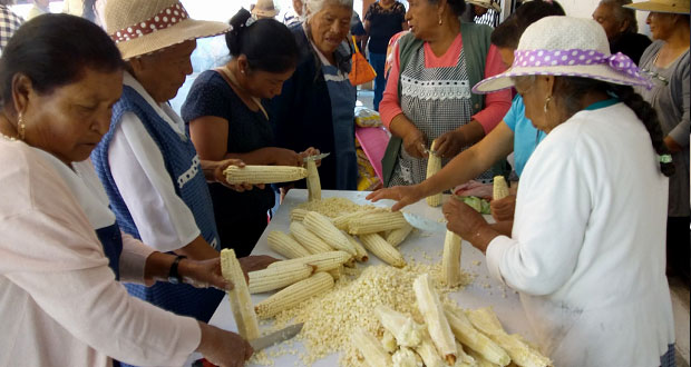 DIF de Ocoyucan ofrece talleres gratuitos a adultos mayores
