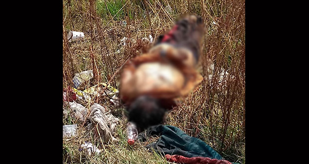 Vecinos de Misiones de San Francisco encuentran cadáver maniatado