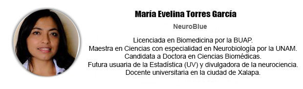 biografia-columnista-María-Evelina-Torres-García