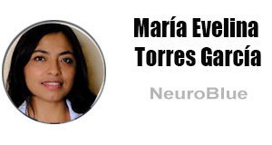 columnistas-María-Evelina-Torres-García
