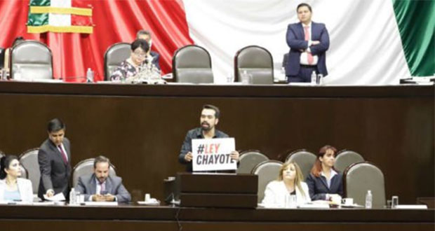 Diputados avalan #LeyChayote y ONGs piden a Senado frenarla