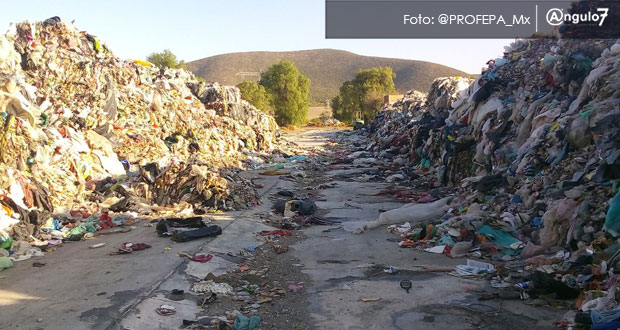 La Profepa realizó una visita a un depósito de residuos en Palmar de Bravo y constató que son residuos sólidos urbanos y no peligrosos. Foto: Especial