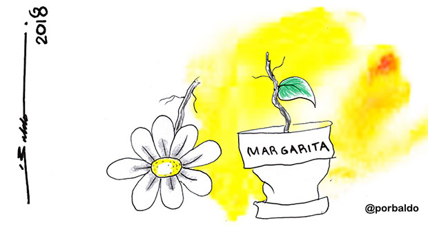 Caricatura: Se deshoja la Margarita en elecciones