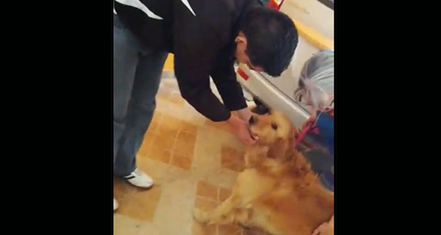 Perro aparentemente maltratado en video está bien: ayuntamiento
