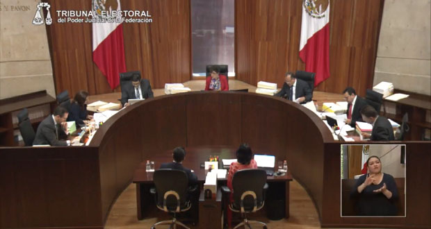 Tepjf también exonera a Doger y Martha Erika de campaña anticipada
