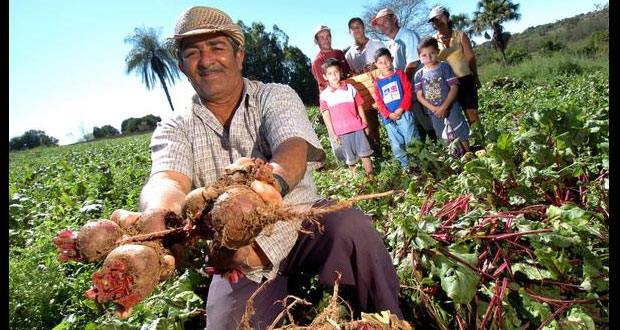 ¿Sabías que 80% de los alimentos vienen de agricultores familiares?