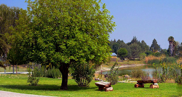 Jardín botánico de BUAP recibe acreditación internacional