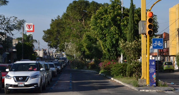 Calor se agrava por la falta de árboles: especialista de BUAP