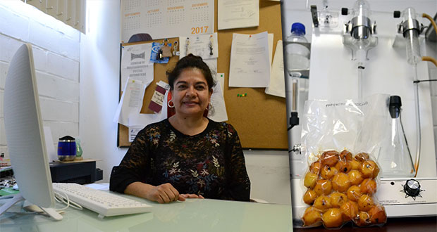 En BUAP, crean botanas a base de champiñón, membrillo y tecojote