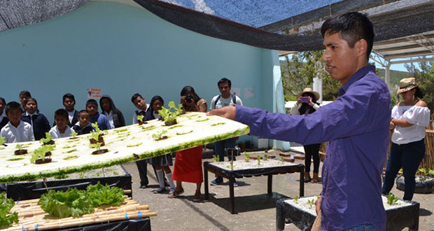 En Santa Ana Teloxtoc, estudiantes de BUAP enseñan a crear huertos
