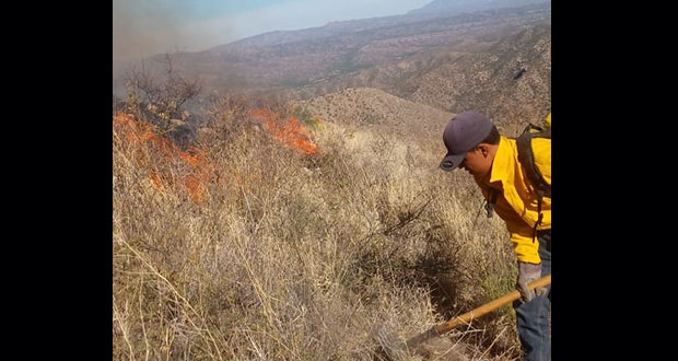 Hasta 1 de junio, incendios se redujeron 62% en Puebla: Conafor