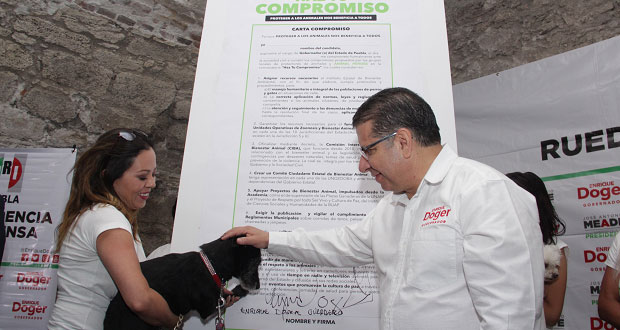 Propone Enrique Doger comité ciudadano de bienestar animal