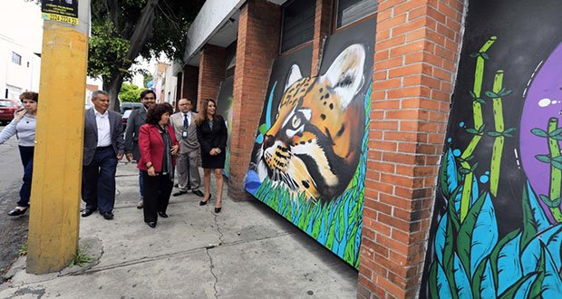 Comuna de Puebla informa a población sobre faltas administrativas