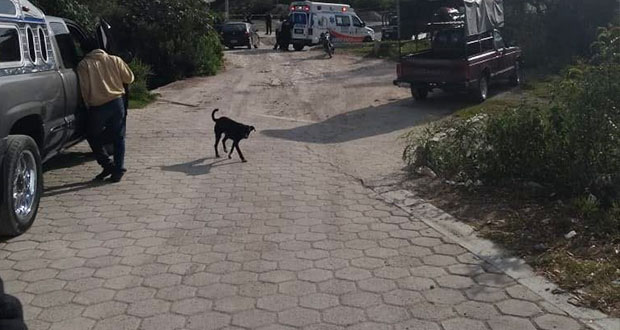 En 24 horas hallan cuatro cuerpos en diferentes municipios de Puebla