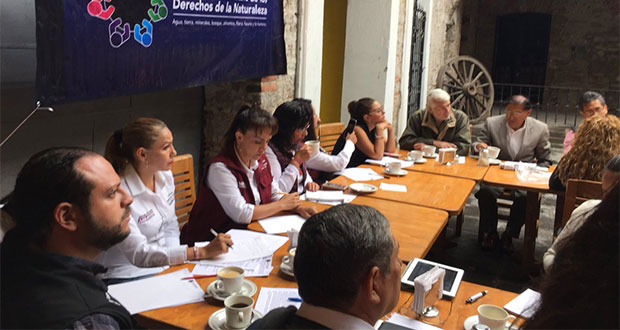 Integran candidatas y ONGs parlamento a favor de recursos naturales