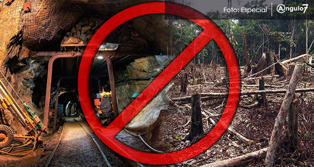 Desechan proyecto de mina que pretendía deforestar bosque en Juan Galindo