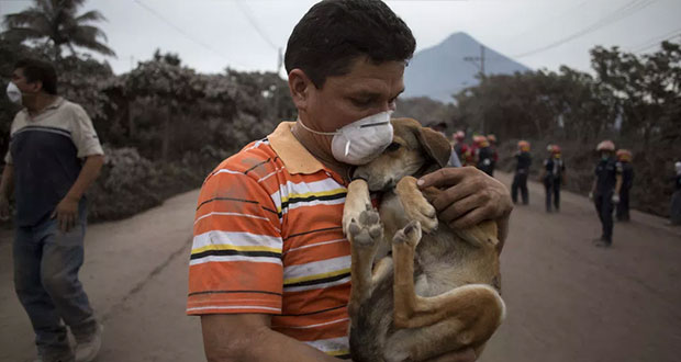 Inicia rescate de mascotas luego de erupción del Volcán de Fuego