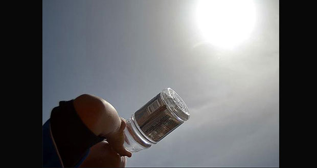 Por ola de calor, mueren siete personas y aves en Baja California
