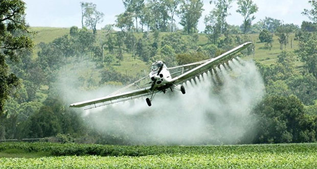 Pesticidas químicos envenenan a comunidades rurales en Brasil