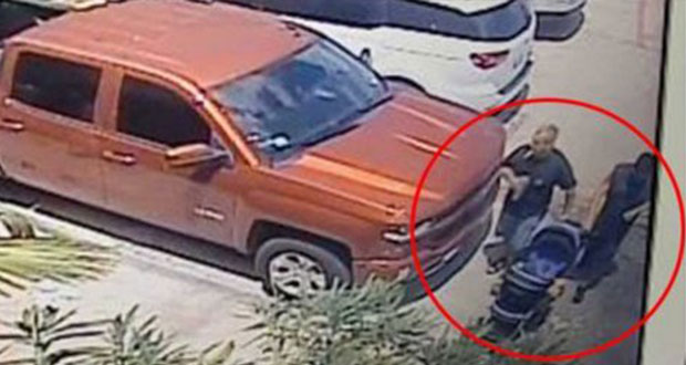 Rescatan a tiburón robado a bordo de carriola en Texas