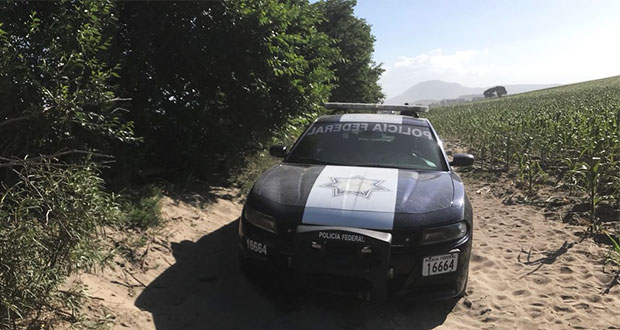 patrulla-policia-federal-Tepeyahualco-de-Hidalgo