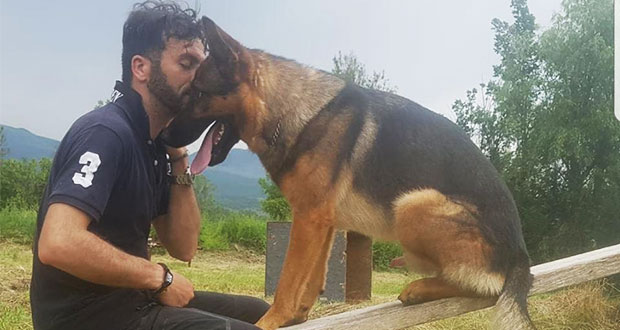 Envenenan a Kaos, perro rescatista que ayudó en terremoto de Italia