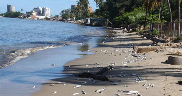 Estas son las 10 playas de México con mayor nivel de contaminación