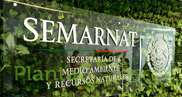 Sindicato rechaza traslado de Semarnat a Yucatán