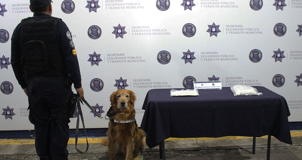 Unidad canina asegura más de un kilo de posible heroína en la CAPU