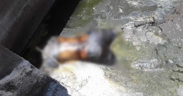Tiran al agua cuerpo de mujer en Tochtepec y asesinan a otra en Tehuitzingo