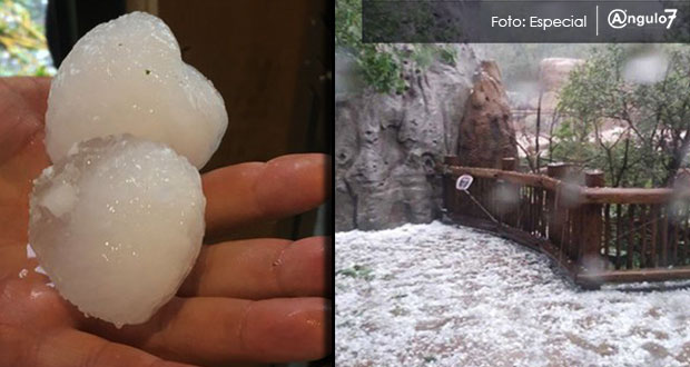 Mueren dos animales en Estados Unidos tras fuerte granizada