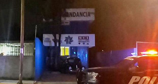 Policía municipal de Puebla muere tras caer mientras podaba árbol