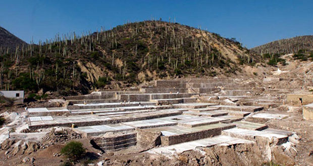 Entre cactáceos y salinas, Zapotitlán también busca ser Pueblo Mágico