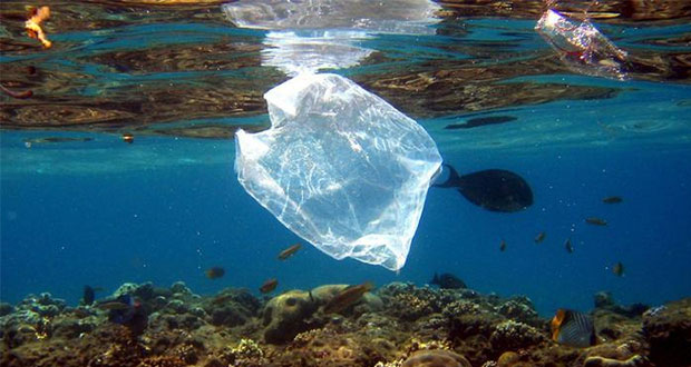 Chile, primer país en LA con ley contra el uso de bolsas de plástico