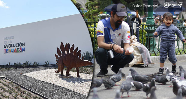 Tehuacán, 10ª ciudad con peor calidad de vida; Puebla también se rezaga: GCE