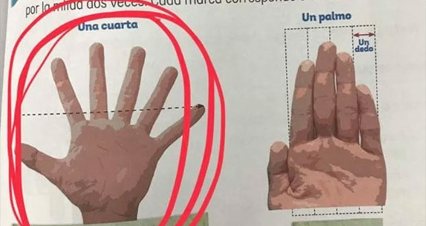 Error en libro de la SEP, aparece ilustración de mano con 6 dedos