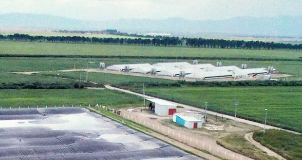 Con inversión de 25 mdd, abre granja de Carroll en Tepeyahualco