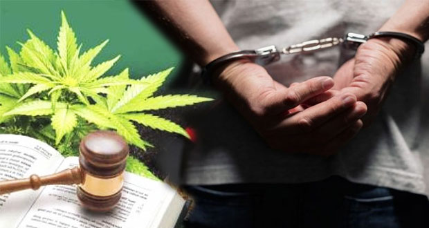 Mayoría no apoya legalización de drogas y amnistía a delincuentes