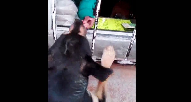 Le dan dinero a un perro y va a comprarse salchichas