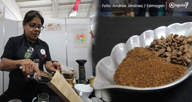 Puebla aporta 15% de producción nacional de café