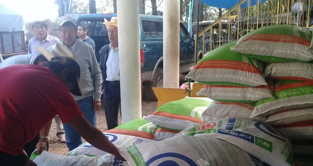 Entregan 5 toneladas de fertilizante a 100 agricultores de Zacatlán