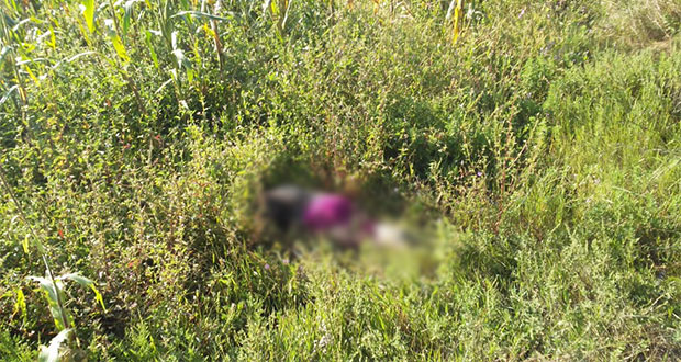 Hallan mujer asesinada en límites de Puebla y Tlaxcala