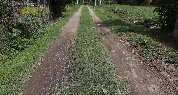 Comuna de Ocoyucan rehabilita caminos sacacosechas para campesinos