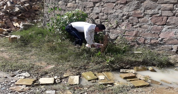 Abandonan a tres bebés en Puebla capital, Amozoc y Huauchinango; dos mueren