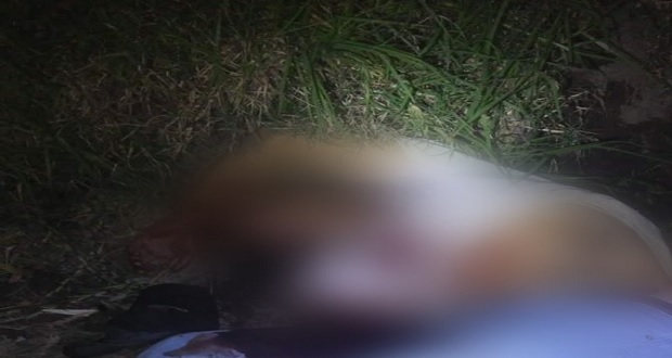 Encuentran cadáver baleado en San Martín Texmelucan; es el tercero en 24 horas