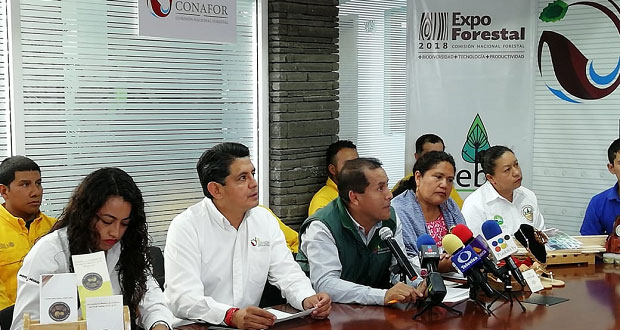 Incendios en Puebla bajan 26% respecto a 2017